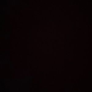 Meet your Posher, Lizzi